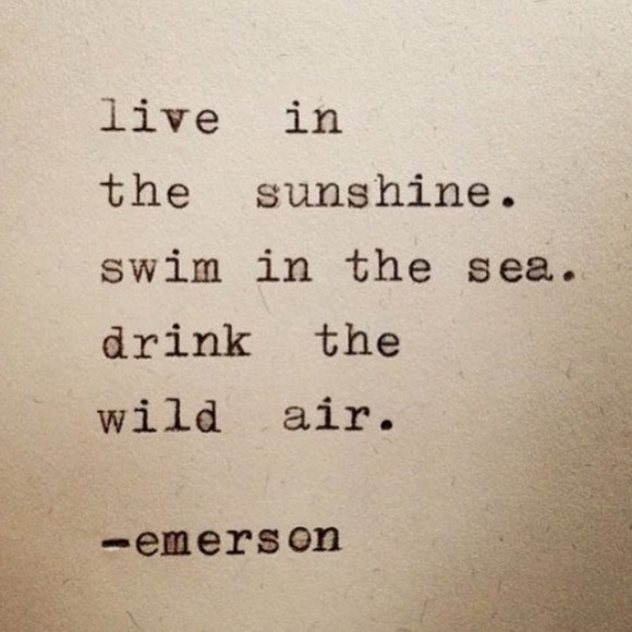 Meet Your Posher, Mel - Posh Ambassador 🦋 - Picture 4 of 5